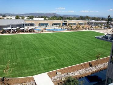 Artificial Grass Photos: Fake Pet Turf Hesperia California Back and Front Yard